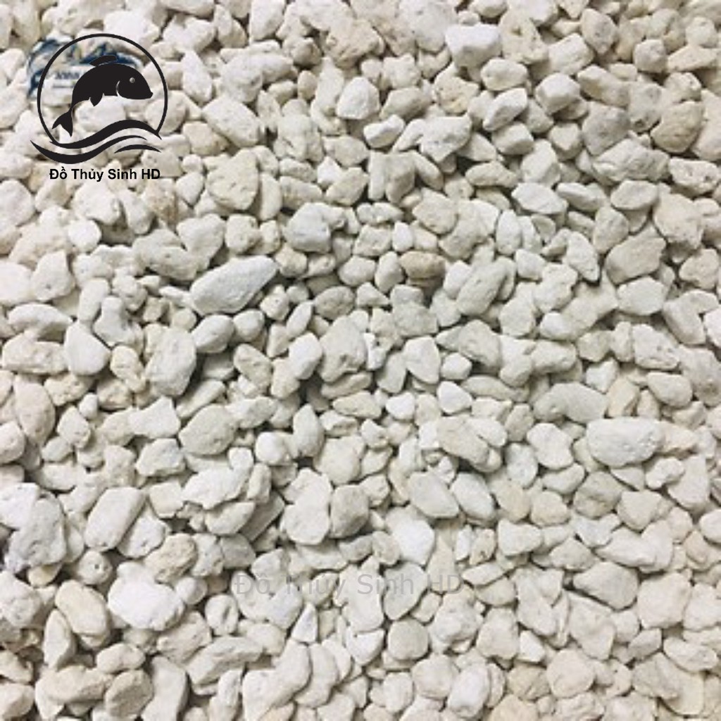 Đá nham thạch trắng 500G TURKEY giá rẻ