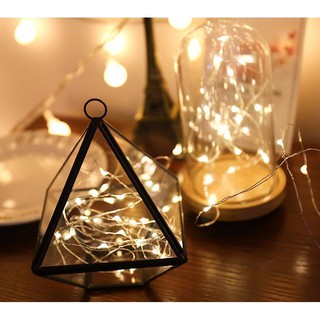 Combo đèn Led đom đóm Fairy light 5 mét
