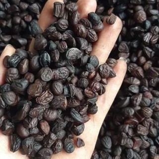 Hạt dổi rừng 100g