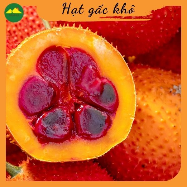 Hạt gấc khô Nam Hà