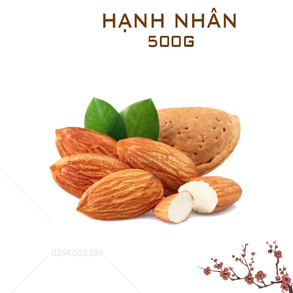 Hạt hạnh nhân 500g (Hạt dinh dưỡng cao cấp, làm sữa hạt, granola ăn kiêng)
