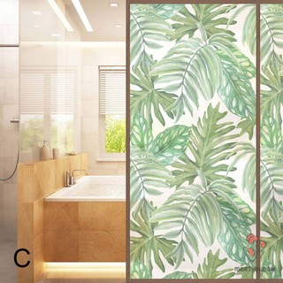 Giấy Dán Kính Mờ Họa Tiết Lá Cây
