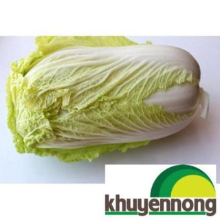300 hạt giống rau cải thảo