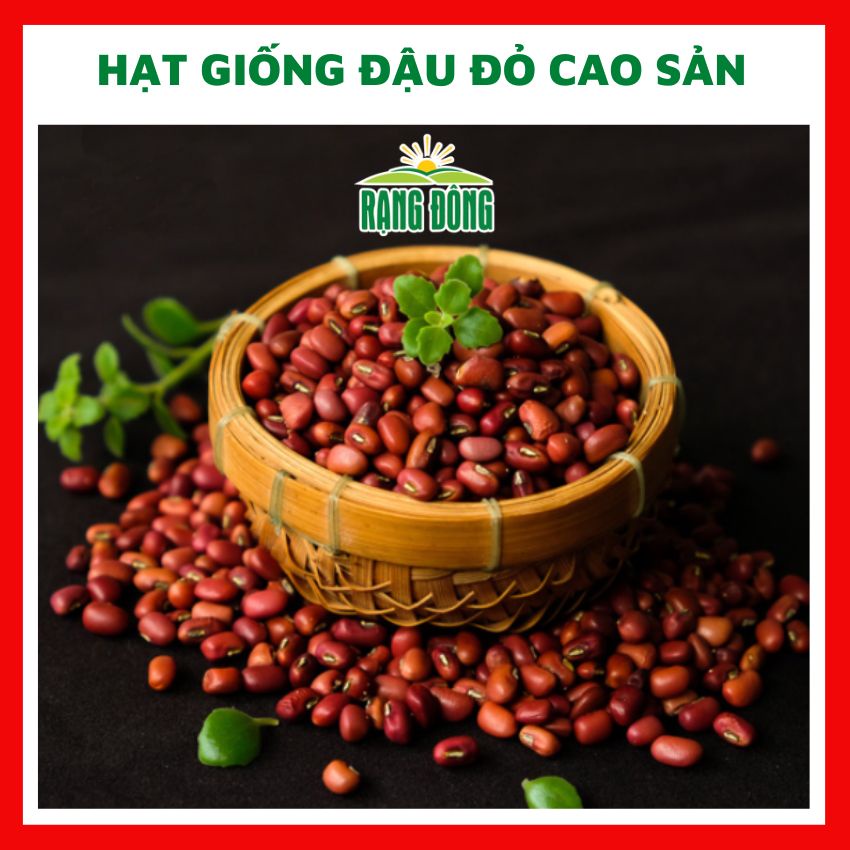 Hạt giống đậu đỏ hạt nhỏ cao sản - rau củ quả chịu nhiệt 4 mùa trồng sân vườn ngon nảy mầm cao 50gr RADO 660