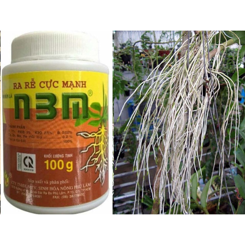 N3M 100gr - ra rễ cực mạnh, phục hồi rễ bị úng cho lan, cây kiểng, hồng