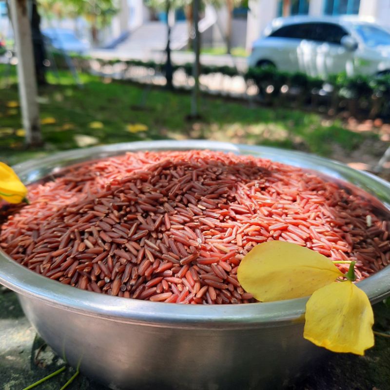 1kg  gạo lứt huyết rồng cơ sở nhà Ong
