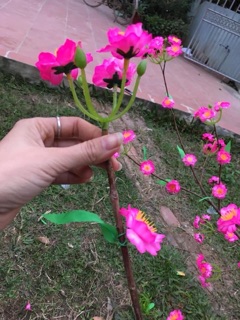 1kg hoa đào giả trang trí