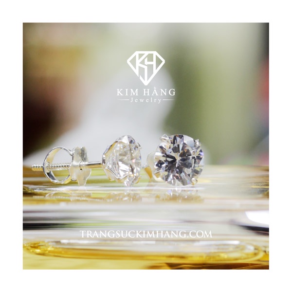 Khuyên Tai Nụ Đá 4 Chấu - Chốt Vặn