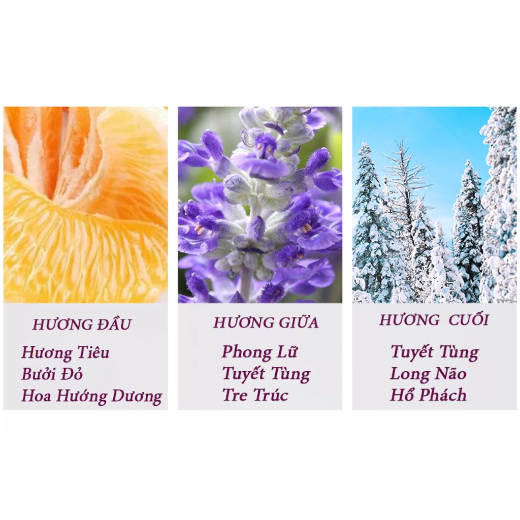 Nước Hoa Nam Cao Cấp Thơm Lâu Nam Tính Darkbrown Hương Thơm Mạnh Mẽ, Cuốn Hút, Lưu Hương 10h, Khiến Nàng Không Nỡ Rời Xa