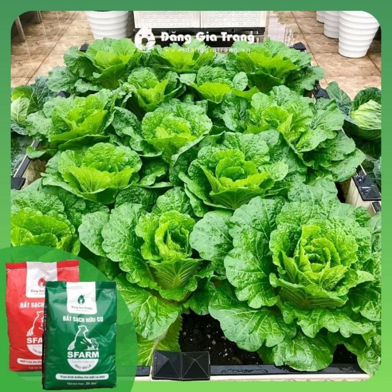 Đất Sạch Hữu Cơ SFARM Đã Trộn Sẵn Và Có Đầy Đủ Phân