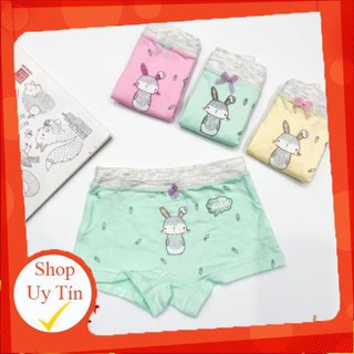 Set 3 quần chip siêu đẹp cho bé
