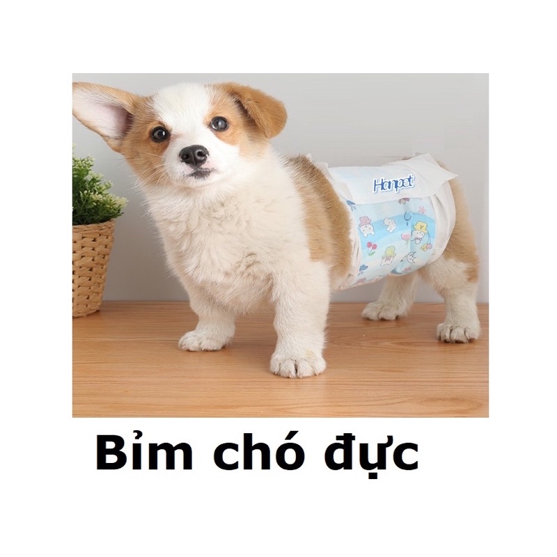 Bỉm tả cho chó đực và chó cái. Nguyên bịch 10-12 cái tuỳ size