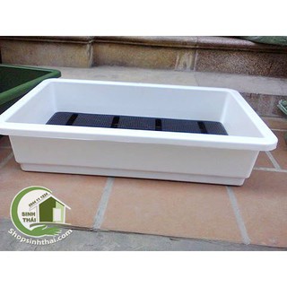 Khay chậu nhựa trồng rau thông minh 2 đáy màu trắng 67x43x15cm