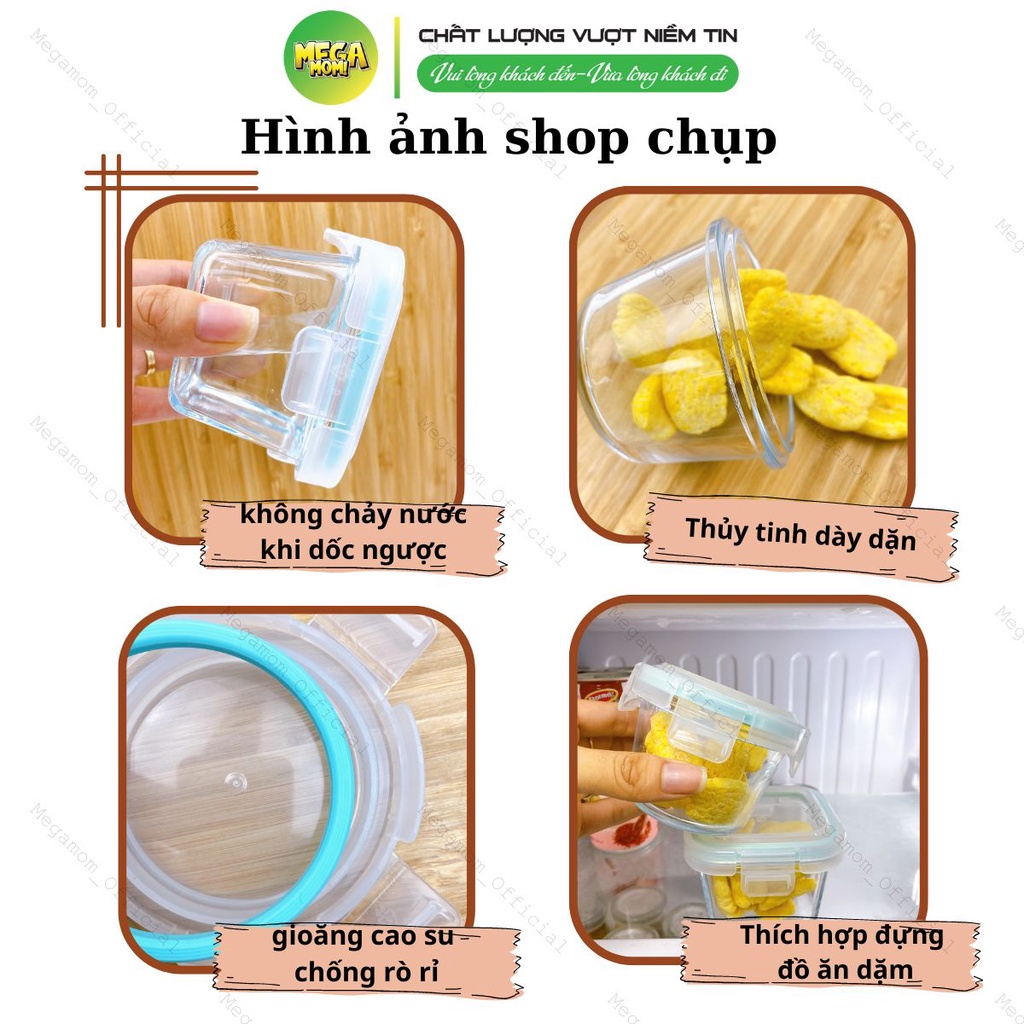 Hộp Trữ Thức Ăn Dặm Cho Bé, Hộp Trữ Đông Ăn Dặm Chất Liệu Thủy Tinh Cao Cấp