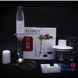Máy sinh tố cầm tay ecosun-hb1920