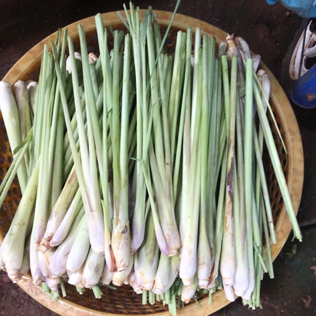 2 kg sả tươi