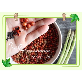 Hạt Giống Măng Tây Xanh