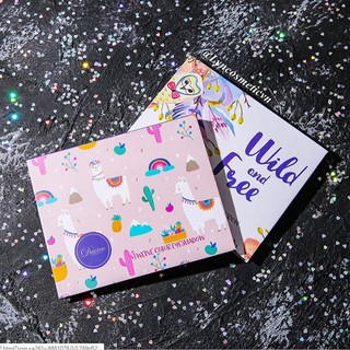 Bảng Phấn Mắt 12 Ô Màu Siêu Xinh Davioo eye shadows palette