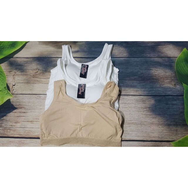 ♥️ Áo Lót Nữ ♥️ Áo Bra Cotton Thái Xịn Hàng Shop abc20 | BigBuy360 - bigbuy360.vn