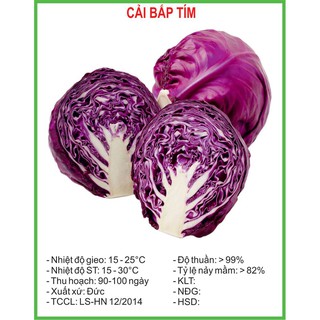 Hạt Giống Cải bắp tím 0.2 gram/gói