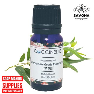 Tinh Dầu Tràm Coccinelle 10ml - Cajeput Essential Oil