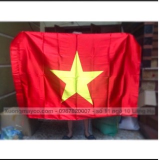 Cờ Việt Nam 80x120cm