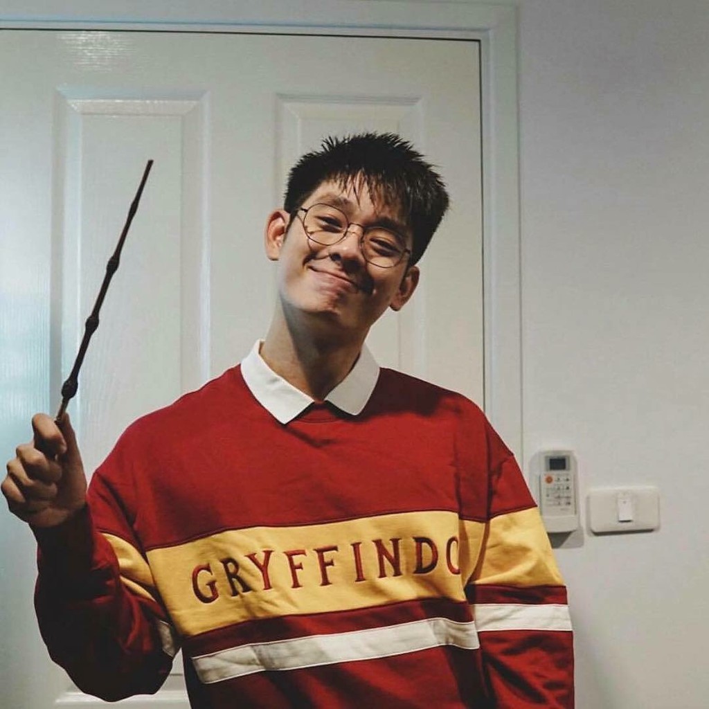 Áo Sweater Harry Poter cực hot hit