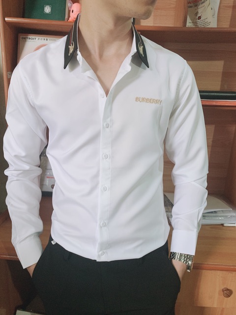 Áo sơ mi nam BBR CAO CẤP trơn, dài tay, vải lụa không nhăn không sù không bay màu ARU SHOP