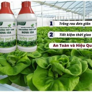 Dinh dưỡng thủy canh NOVA ISA