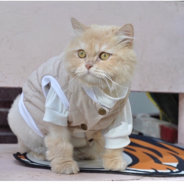 [Nhận may theo size] Combo ghile ba lỗ kèm áo nỉ cho chó mèo