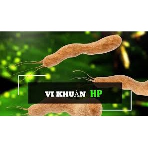 Tuệ Đức Hoàn Nguyên Vị HP - Viên Uống Hỗ Trợ Người Bị Viêm Loét Dạ Dày/ HOAN NGUYEN VI HP
