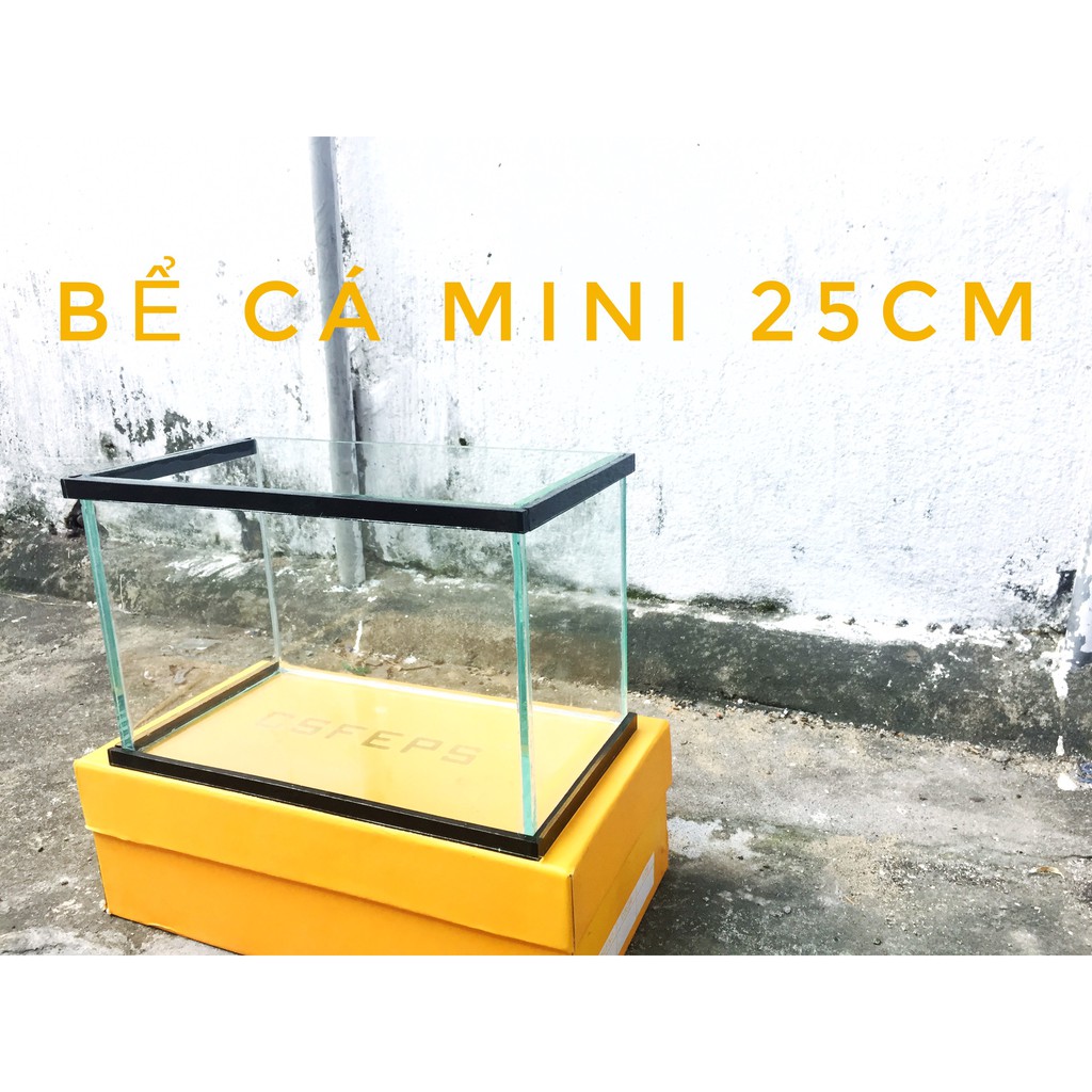 🐬 Bể cá mini  25*13*15cm dán viền kính đen sang trọng