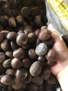 Hạt dẻ tươi trùng khánh