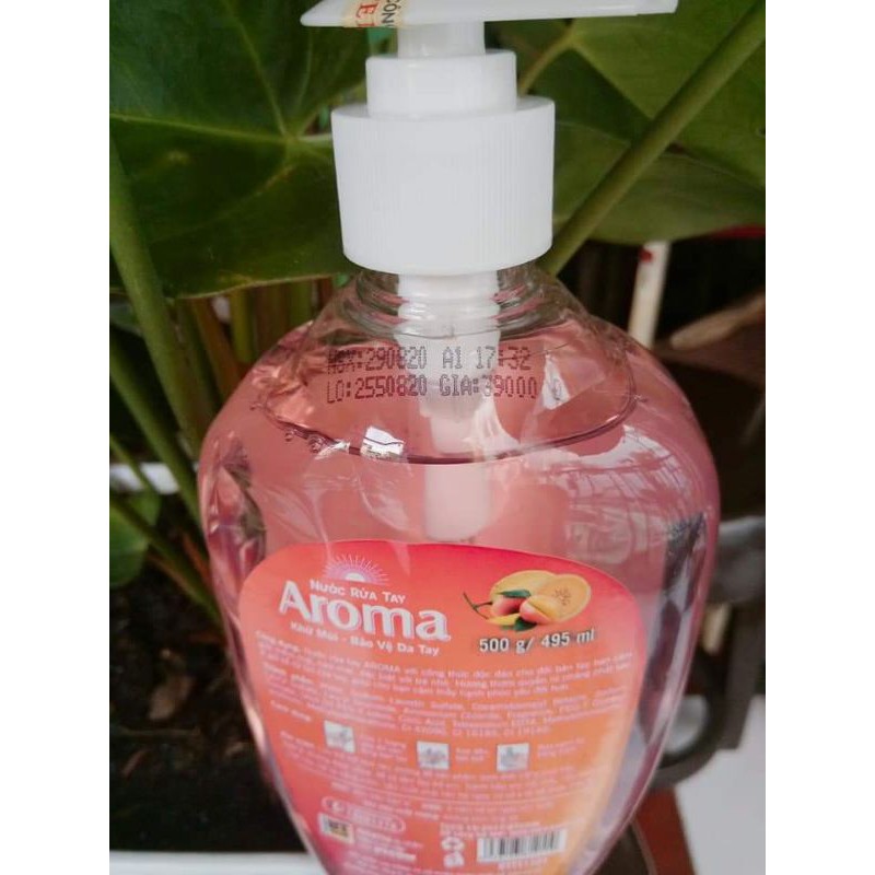 Nước rửa tay Aroma hương dưa xoài 500g