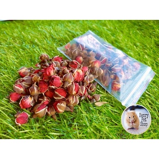 Hoa sấy khô giúp giảm stress cho Hamster