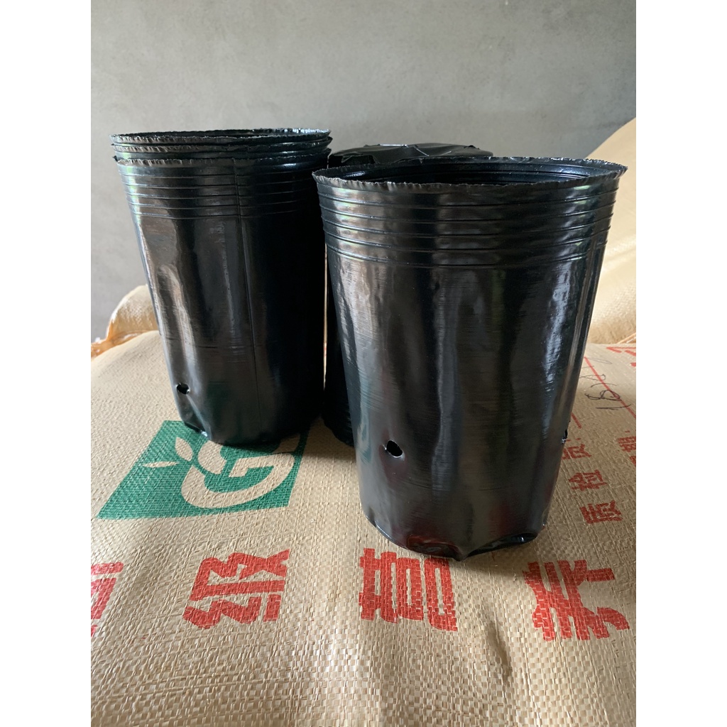 1KG  BẦU ƯƠM C17 (DỊCH TRUYỀN CHO CÂY, BẠT CHỐNG CỎ, KEO RUỒI VÀNG...)