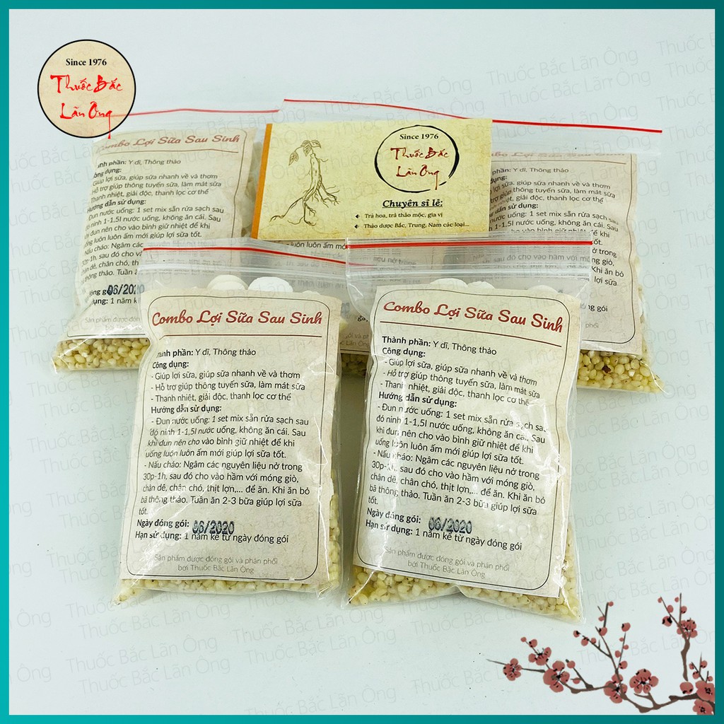 Y Dĩ - Thông Thảo Lợi Sữa Sau Sinh
