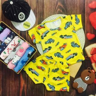 Combo 5 bộ Carter bozip cho bé trai bé gái 100% chất bozip