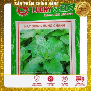 COMBO 10 GÓI HẠT GIỐNG HÚNG CHANH