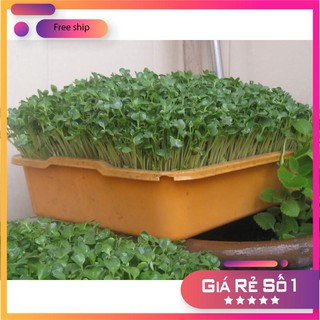 Hạt giống rau mầm đậu cove - 50gr lucky.vn