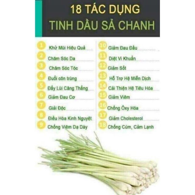 GỘI BỒ KẾT XẢ CHANH ( HÀNG CHUẨN)