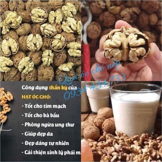 Óc chó rừng sapa túi 1kg