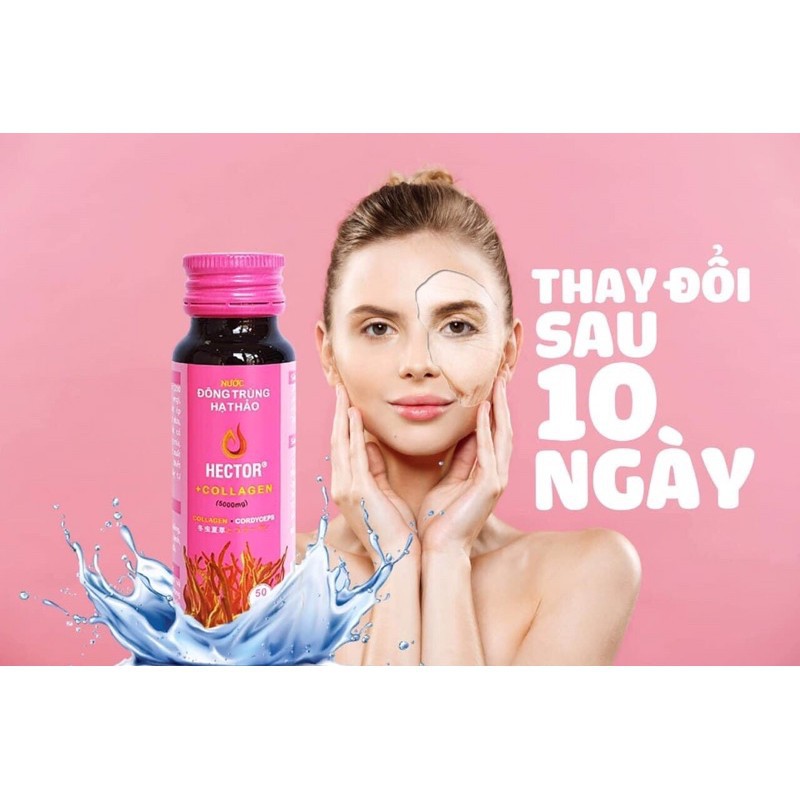 Hector collagen nước đông trùng hạ thảo