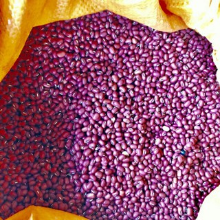 Sỉ giá gốc hạt đỗ đỏ 1kg