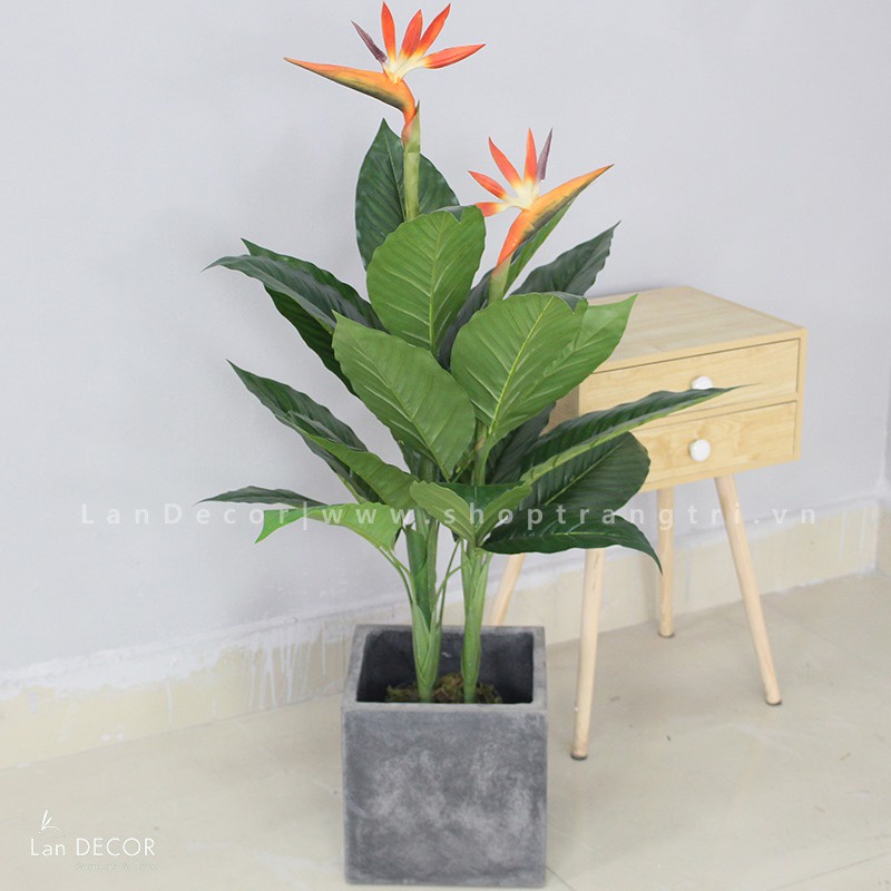 Cây giả - Cây chuối thiên điểu, chuối mỏ két giả trang trí nhà đẹp, decor văn phòng làm việc sang trọng LanDecor