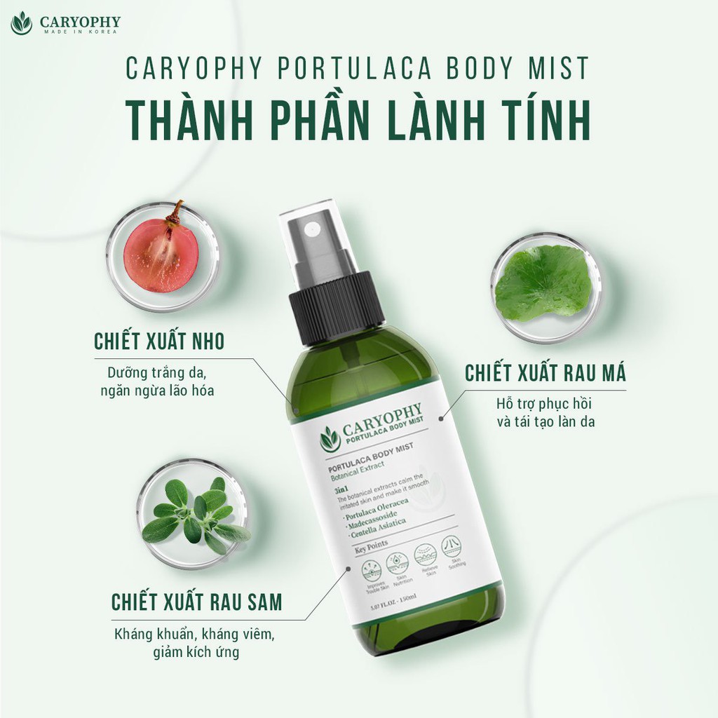 Xịt giảm mụn, giảm thâm mụn lưng, body Caryophy Portulaca Body Mist 150ml _ Caryophy Chính Hãng