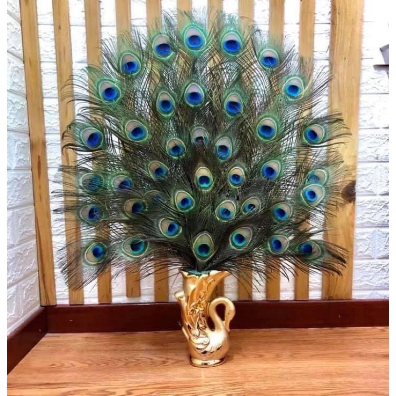 Lông công phong thủy LOCOADO, dài 70-80cm, Mắt to 4-6cm, nhập khẩu Ấn Độ