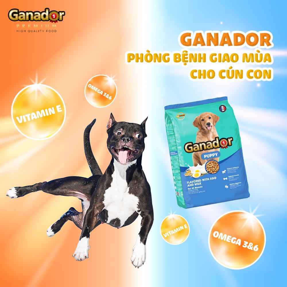 [Combo 5] Hạt Cho Chó Con Vị Trứng Sữa - Ganador Puppy EGG &amp; MILK 400 gr