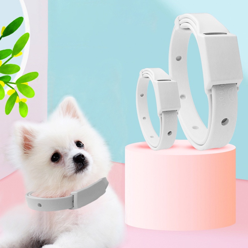 Vòng cổ diệt bọ chét và bọ chét cho chó Phòng chống côn trùng Vòng cổ bảo vệ muỗi cho chó và mèo