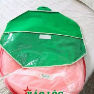 Mung chụp cao cap đỉnh nhọn